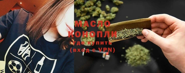 индика Арсеньев
