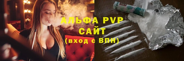 индика Арсеньев