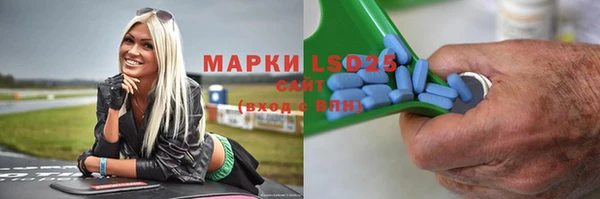 индика Арсеньев
