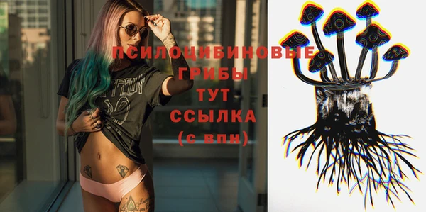 индика Арсеньев
