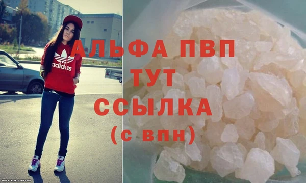 индика Арсеньев