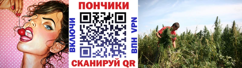 Конопля Amnesia наркошоп Верхотурье
